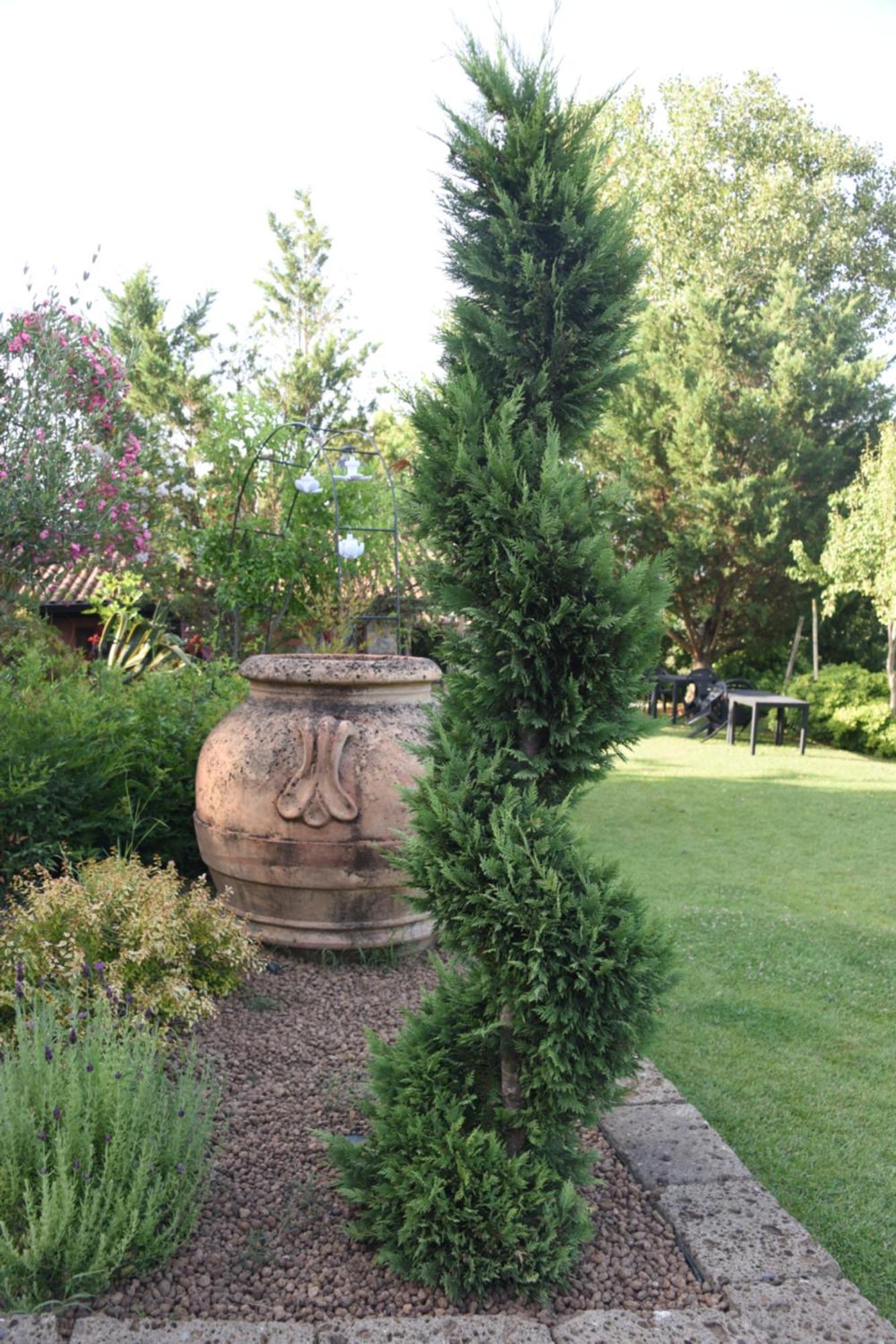 Bosco D'Olmi Country House Sant'Andrea del Garigliano エクステリア 写真