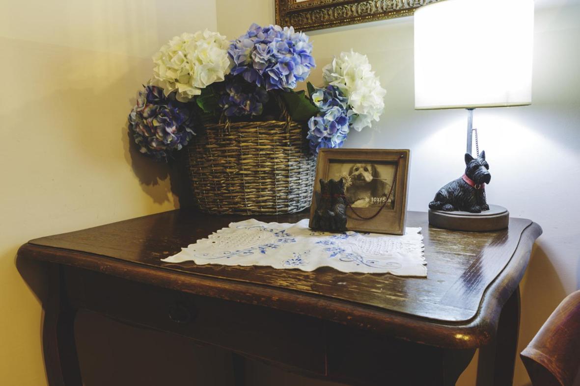 Bosco D'Olmi Country House Sant'Andrea del Garigliano エクステリア 写真